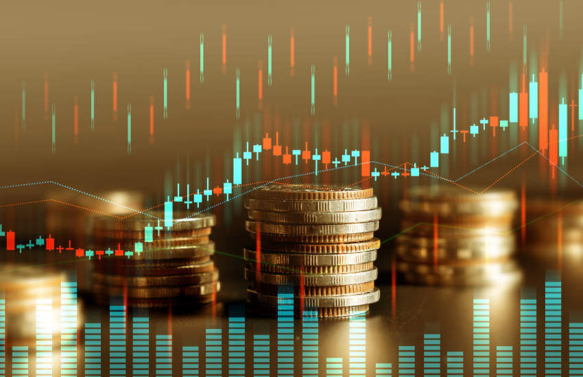 股票配资交易 首届国际白茶大会将于11月30日至12月1日在福鼎举办